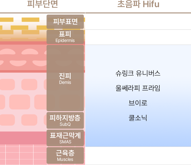 초음파 Hifu의 종류에는 슈링크 유니버스,울쎄라피 프라임,브이로,쿨소닉이 있으며 피부단면의 피부표면,표피(Epidermis),진피(Demis),피하지방층(SubQ),표재근막계(SMAS),근육층(Muscles) 중에서 표피(Epidermis),진피(Demis)에 도달합니다.